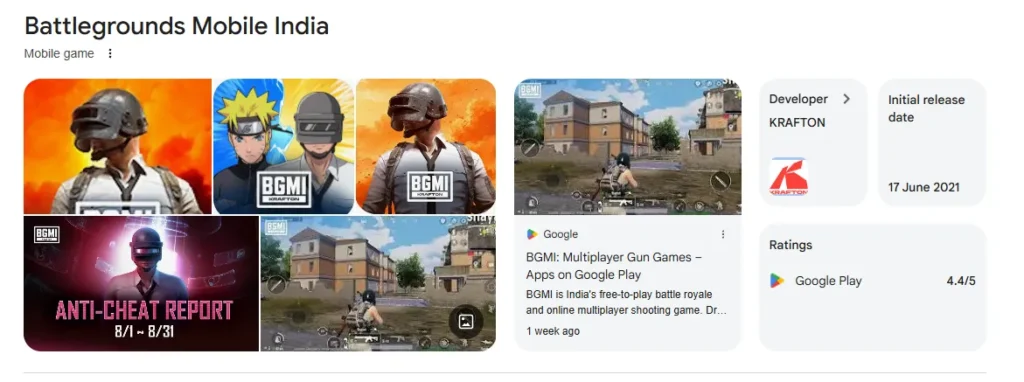 bgmi game overview