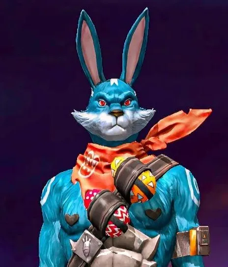 raistar bunny bundle